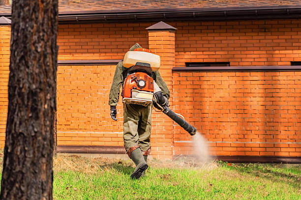 Trusted Bed Bug Control service in American Canyon, CA - Nex Pest Control